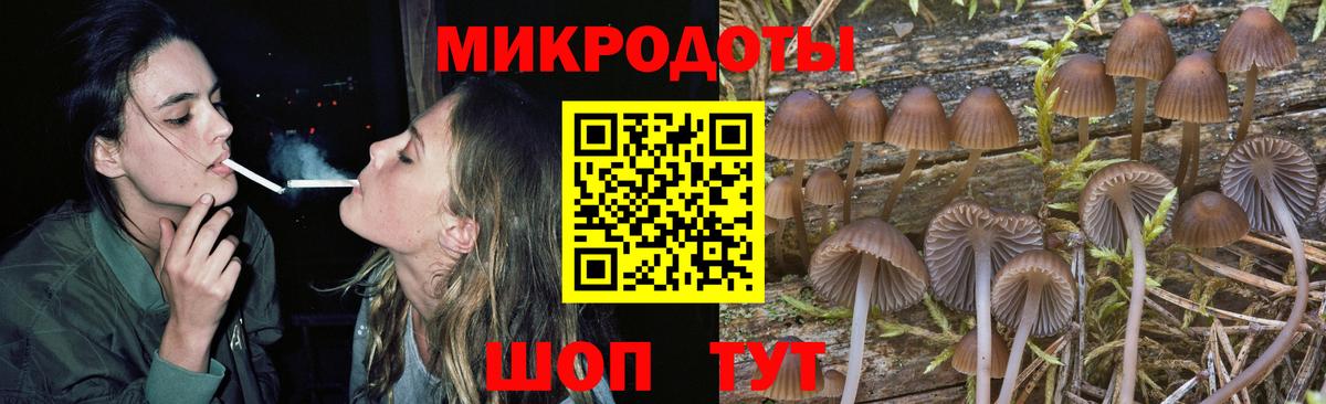 Галлюциногенные грибы Psilocybe  Вход с VPN  Карпинск  Галлюциногенные грибы Magic Shrooms 